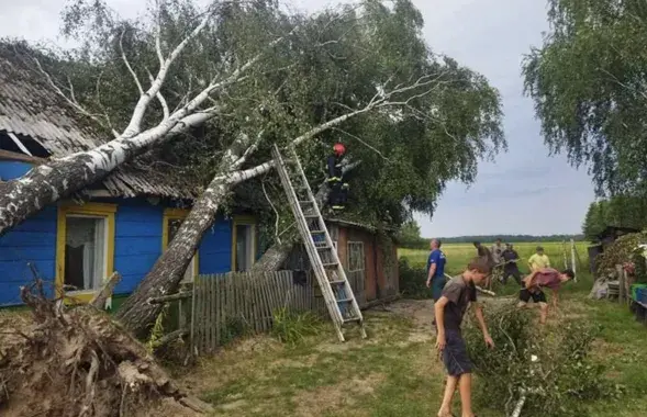 Ликвидация последствий июльских ураганов
