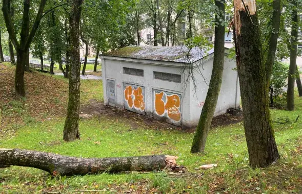 Последствия урагана в Минске
