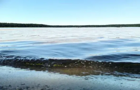 В августе в Беларуси
