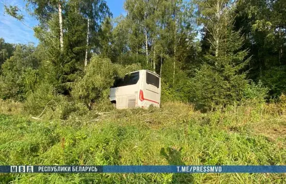 Автобус
