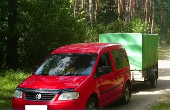 Нарушители в лесу
