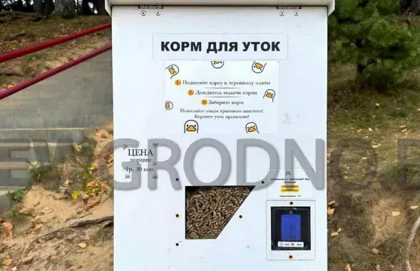 Аппарат для корма уток
