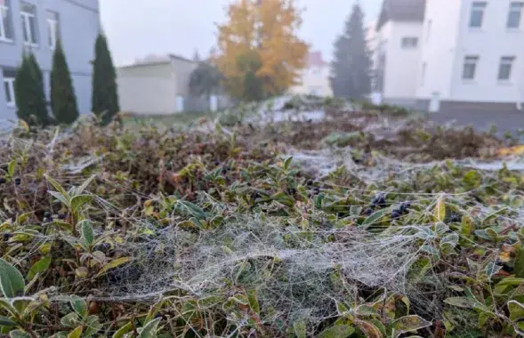 Восень, ілюстрацыйнае фота
