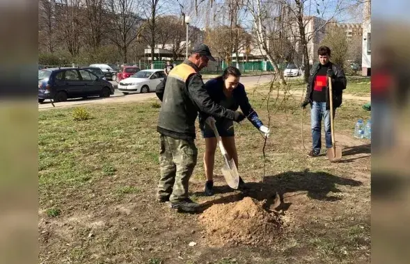 Ганна Канапацкая саджае дрэва
