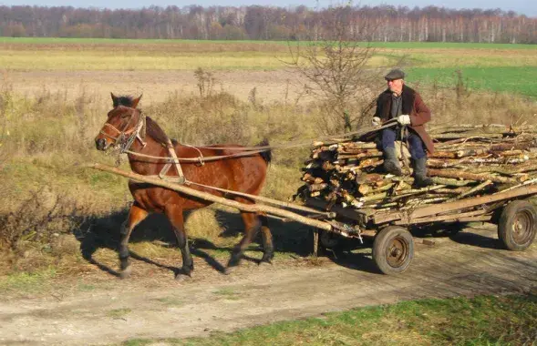 Жанчына патанула ў невялікім вадаёме
