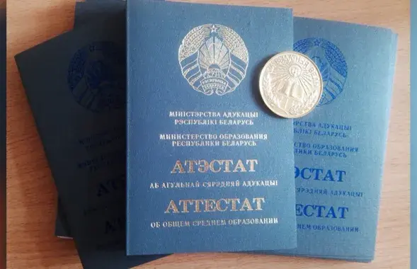 В Польше предложили признать действие белорусского школьного аттестата бессрочным
