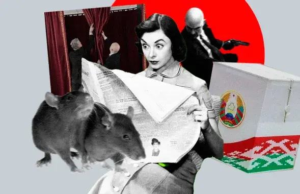 Выборы в Беларуси
