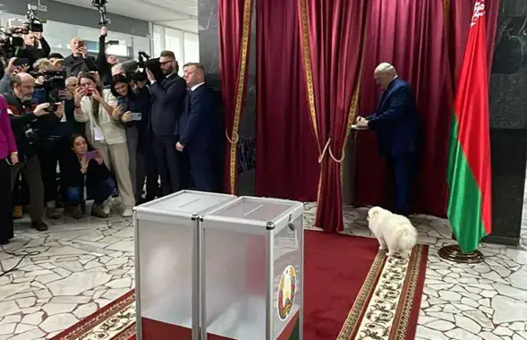Умка пометил участок Лукашенко видео