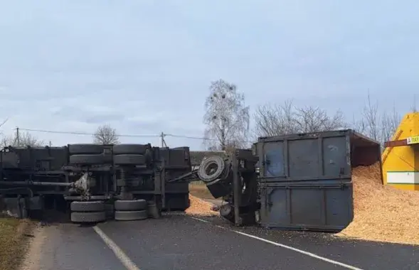 Дранка оказалась на дороге
