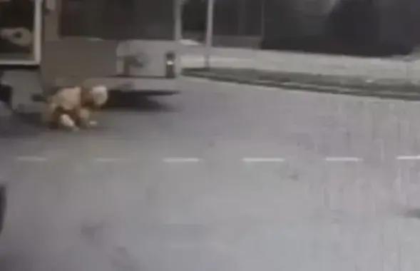 Момант здарэння трапіў на відэа
