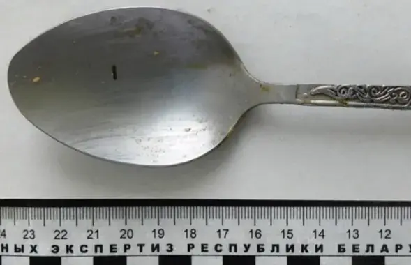 Ложка, по которой нашли дачного вора
