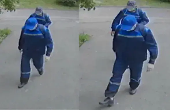 Псеўдаэлектрыкі
