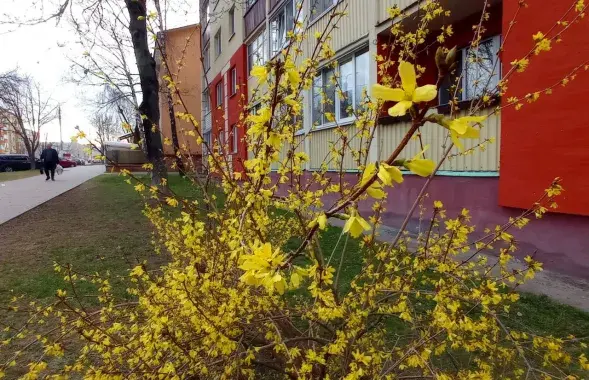 Весна, иллюстративное фото
