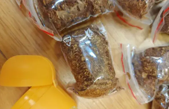 Литовец вез в Беларусь наркотики
