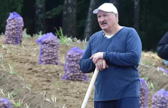 Аляксандр Лукашэнка
