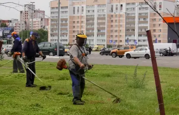 Косари в Гомеле
