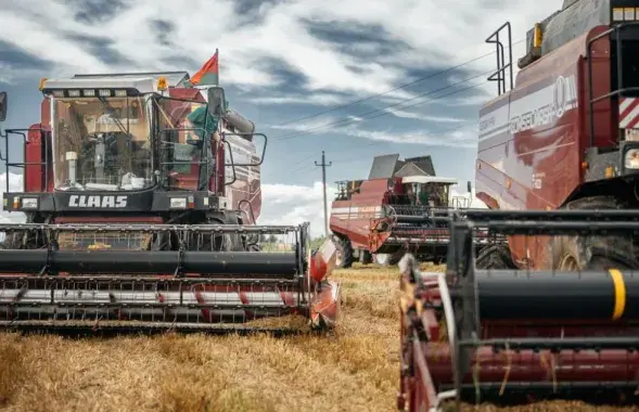 Унутраныя войскі МУС удзельнічаюць у ўборачнай кампаніі.
