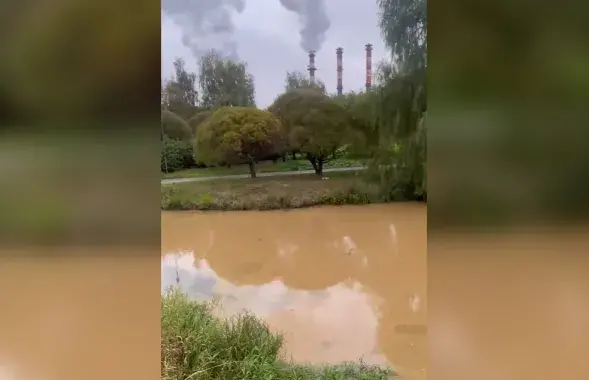 Мінгаркампрыроды пачаў разбор сітуацыі
