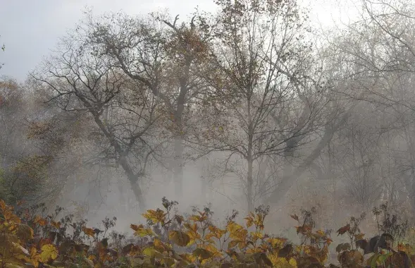 Восень, ілюстрацыйнае фота
