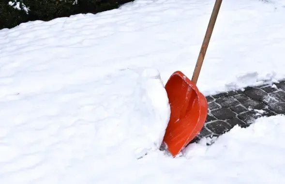 Снег

