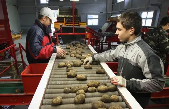 Што прапануе Мінсельгасхарч?
