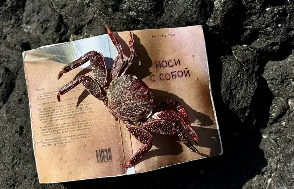 Кніга "Насі з сабой" на пляжы
