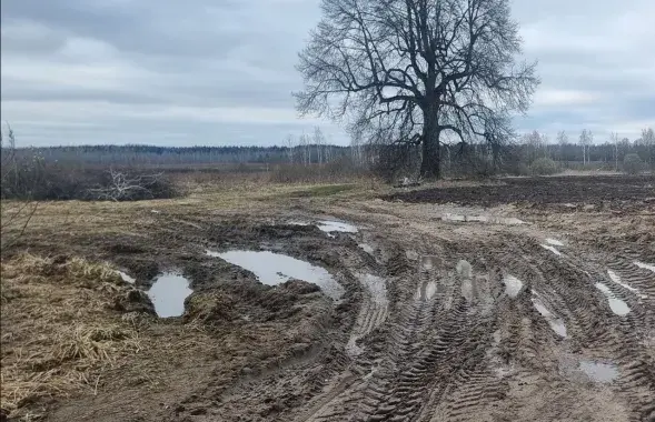 Так выглядала дарога да праверкі Дзяржкантролю
