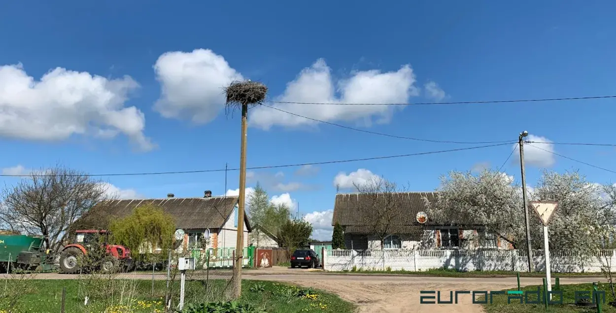 Вясна ў Беларусі / Еўрарадыё
