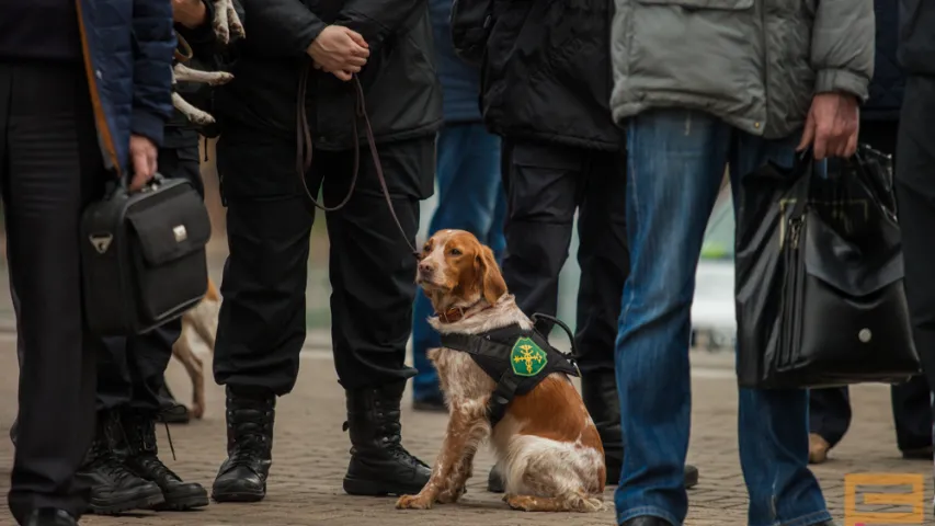 Ігар Шуневіч: Вадамёты ў нас на базе МАЗ, але набылі і два замежныя