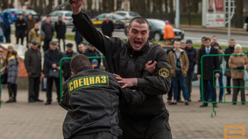 На выставе ў Мінску міліцыя раструшчыла двух "чалавек" (фота)