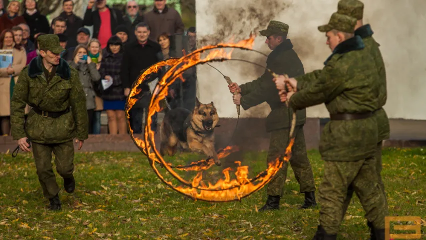 На выставе ў Мінску міліцыя раструшчыла двух "чалавек" (фота)